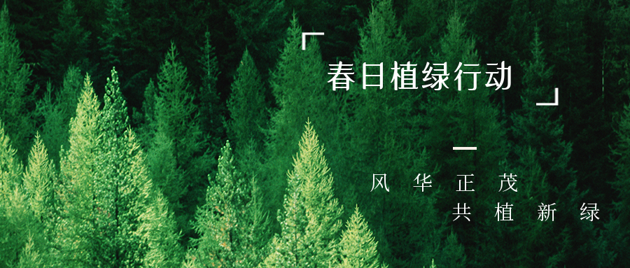 基泰集團(tuán)開(kāi)展2023春日植綠行動(dòng)