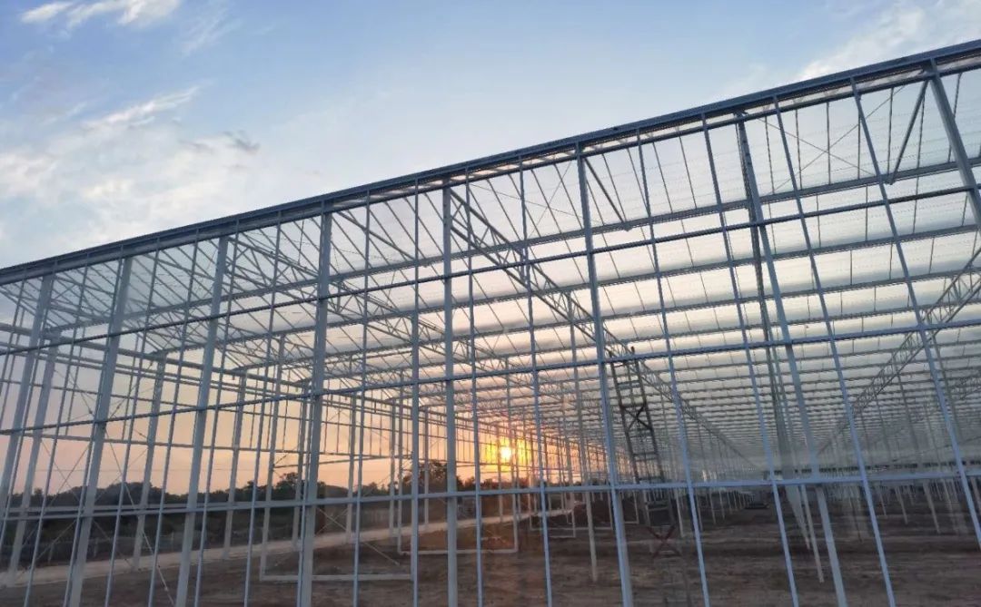 最新進(jìn)展！